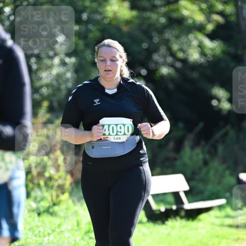 27.09.2026 - 35. Volkslauf durch das schöne Alstertal Dr. Thomas Lammeyer http://msf.ph/oto/10569538 27.09.2026 10:58:23 Laufen 4090 meine-sportfotos.de