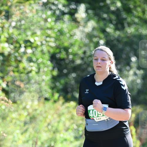 27.09.2026 - 35. Volkslauf durch das schöne Alstertal Dr. Thomas Lammeyer http://msf.ph/oto/10569545 27.09.2026 10:58:23 Laufen 405 meine-sportfotos.de