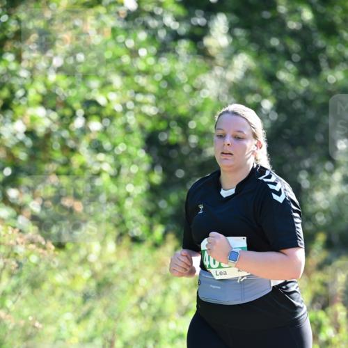27.09.2026 - 35. Volkslauf durch das schöne Alstertal Dr. Thomas Lammeyer http://msf.ph/oto/10569546 27.09.2026 10:58:24 Laufen  meine-sportfotos.de