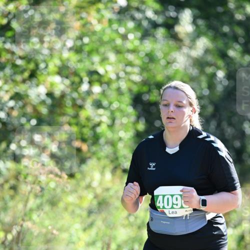 27.09.2026 - 35. Volkslauf durch das schöne Alstertal Dr. Thomas Lammeyer http://msf.ph/oto/10569547 27.09.2026 10:58:24 Laufen 886, 409 meine-sportfotos.de