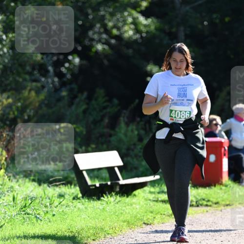27.09.2026 - 35. Volkslauf durch das schöne Alstertal Dr. Thomas Lammeyer http://msf.ph/oto/10569555 27.09.2026 10:58:28 Laufen 2025, 4086 meine-sportfotos.de