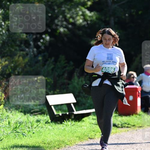 27.09.2026 - 35. Volkslauf durch das schöne Alstertal Dr. Thomas Lammeyer http://msf.ph/oto/10569556 27.09.2026 10:58:28 Laufen 4086 meine-sportfotos.de