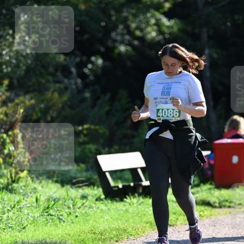 27.09.2026 - 35. Volkslauf durch das schöne Alstertal Dr. Thomas Lammeyer http://msf.ph/oto/10569559 27.09.2026 10:58:28 Laufen 2025, 4086 meine-sportfotos.de