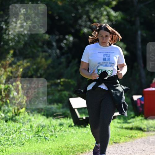 27.09.2026 - 35. Volkslauf durch das schöne Alstertal Dr. Thomas Lammeyer http://msf.ph/oto/10569562 27.09.2026 10:58:29 Laufen 2025, 1436 meine-sportfotos.de