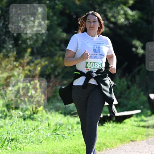 27.09.2026 - 35. Volkslauf durch das schöne Alstertal Dr. Thomas Lammeyer http://msf.ph/oto/10569567 27.09.2026 10:58:29 Laufen 2025, 4086 meine-sportfotos.de