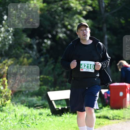 27.09.2026 - 35. Volkslauf durch das schöne Alstertal Dr. Thomas Lammeyer http://msf.ph/oto/10569589 27.09.2026 10:58:42 Laufen 4210 meine-sportfotos.de