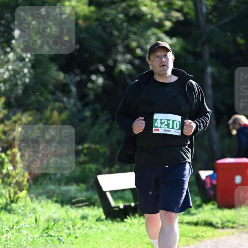 27.09.2026 - 35. Volkslauf durch das schöne Alstertal Dr. Thomas Lammeyer http://msf.ph/oto/10569590 27.09.2026 10:58:42 Laufen 4210 meine-sportfotos.de