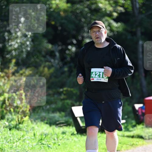 27.09.2026 - 35. Volkslauf durch das schöne Alstertal Dr. Thomas Lammeyer http://msf.ph/oto/10569592 27.09.2026 10:58:42 Laufen 4216 meine-sportfotos.de