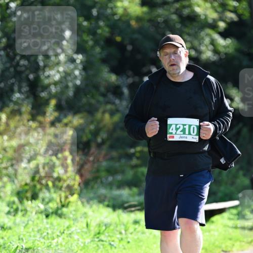 27.09.2026 - 35. Volkslauf durch das schöne Alstertal Dr. Thomas Lammeyer http://msf.ph/oto/10569594 27.09.2026 10:58:43 Laufen 4210 meine-sportfotos.de