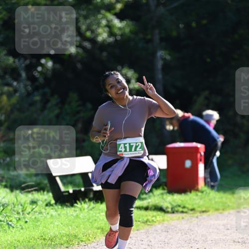 27.09.2026 - 35. Volkslauf durch das schöne Alstertal Dr. Thomas Lammeyer http://msf.ph/oto/10569614 27.09.2026 10:58:57 Laufen 4172 meine-sportfotos.de