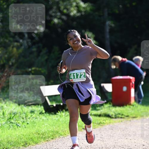 27.09.2026 - 35. Volkslauf durch das schöne Alstertal Dr. Thomas Lammeyer http://msf.ph/oto/10569616 27.09.2026 10:58:58 Laufen 4172 meine-sportfotos.de