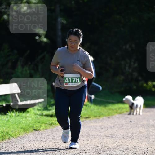 27.09.2026 - 35. Volkslauf durch das schöne Alstertal Dr. Thomas Lammeyer http://msf.ph/oto/10569630 27.09.2026 10:59:08 Laufen 4176 meine-sportfotos.de