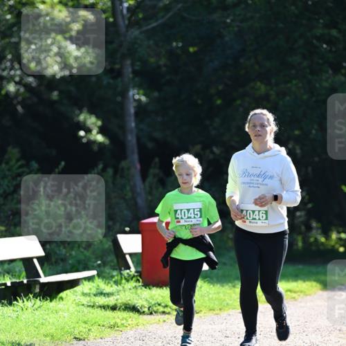 27.09.2026 - 35. Volkslauf durch das schöne Alstertal Dr. Thomas Lammeyer http://msf.ph/oto/10569662 27.09.2026 10:59:34 Laufen 4045, 4046 meine-sportfotos.de