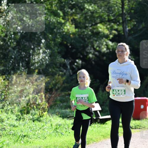 27.09.2026 - 35. Volkslauf durch das schöne Alstertal Dr. Thomas Lammeyer http://msf.ph/oto/10569667 27.09.2026 10:59:37 Laufen 1982, 4945, 4046 meine-sportfotos.de