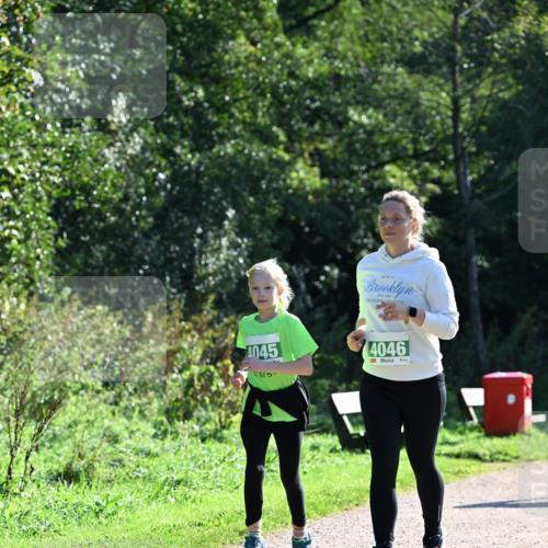 27.09.2026 - 35. Volkslauf durch das schöne Alstertal Dr. Thomas Lammeyer http://msf.ph/oto/10569673 27.09.2026 10:59:38 Laufen 4045, 4046 meine-sportfotos.de