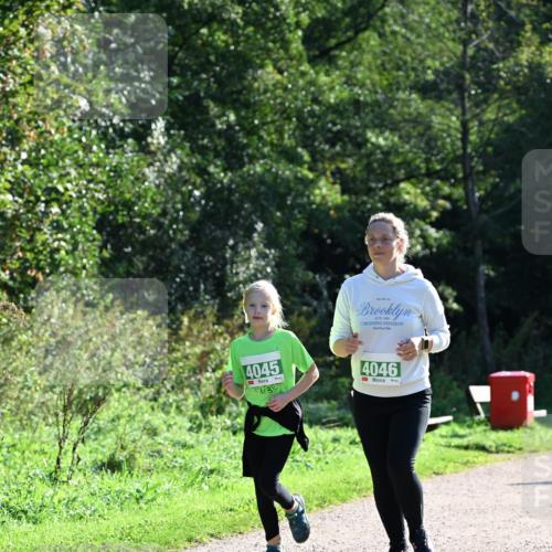 27.09.2026 - 35. Volkslauf durch das schöne Alstertal Dr. Thomas Lammeyer http://msf.ph/oto/10569675 27.09.2026 10:59:38 Laufen 4045, 4046 meine-sportfotos.de