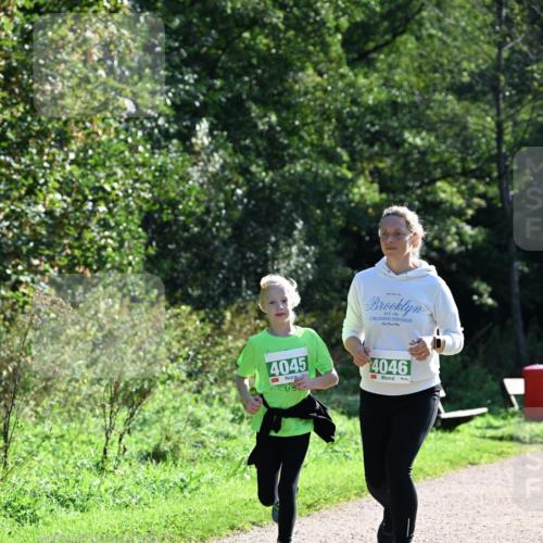 27.09.2026 - 35. Volkslauf durch das schöne Alstertal Dr. Thomas Lammeyer http://msf.ph/oto/10569677 27.09.2026 10:59:38 Laufen 4045, 4046 meine-sportfotos.de