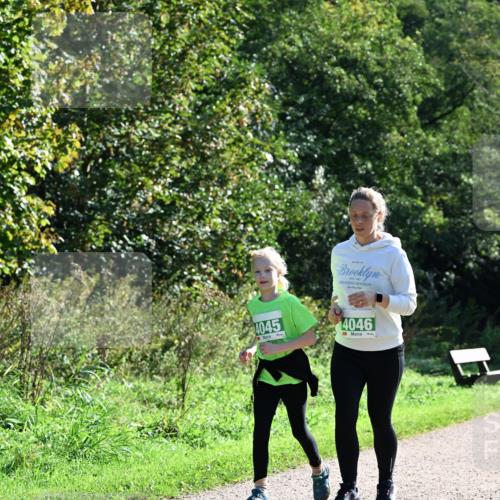 27.09.2026 - 35. Volkslauf durch das schöne Alstertal Dr. Thomas Lammeyer http://msf.ph/oto/10569684 27.09.2026 10:59:39 Laufen 4045, 4046 meine-sportfotos.de