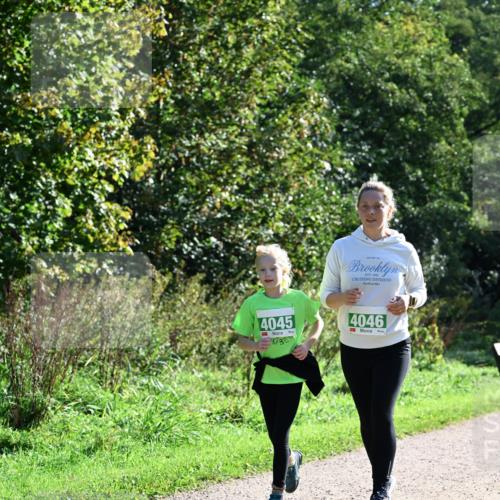27.09.2026 - 35. Volkslauf durch das schöne Alstertal Dr. Thomas Lammeyer http://msf.ph/oto/10569687 27.09.2026 10:59:40 Laufen 4045, 4046 meine-sportfotos.de