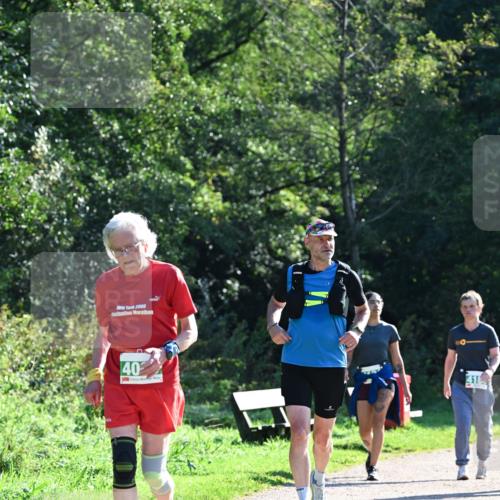 27.09.2026 - 35. Volkslauf durch das schöne Alstertal Dr. Thomas Lammeyer http://msf.ph/oto/10569702 27.09.2026 11:00:03 Laufen 2006, 40, 416 meine-sportfotos.de