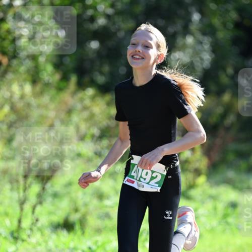 27.09.2026 - 35. Volkslauf durch das schöne Alstertal Dr. Thomas Lammeyer http://msf.ph/oto/10569768 27.09.2026 11:03:03 Laufen 492 meine-sportfotos.de