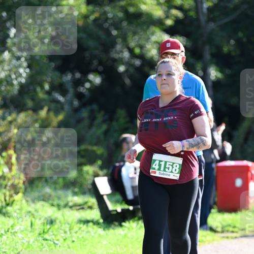 27.09.2026 - 35. Volkslauf durch das schöne Alstertal Dr. Thomas Lammeyer http://msf.ph/oto/10569773 27.09.2026 11:03:12 Laufen 4158 meine-sportfotos.de