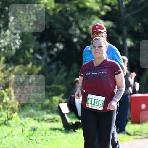 27.09.2026 - 35. Volkslauf durch das schöne Alstertal Dr. Thomas Lammeyer http://msf.ph/oto/10569774 27.09.2026 11:03:13 Laufen 4158 meine-sportfotos.de