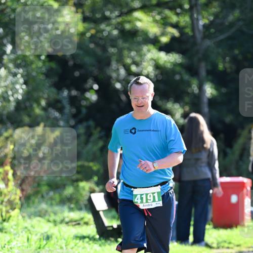 27.09.2026 - 35. Volkslauf durch das schöne Alstertal Dr. Thomas Lammeyer http://msf.ph/oto/10569804 27.09.2026 11:03:40 Laufen 4191 meine-sportfotos.de