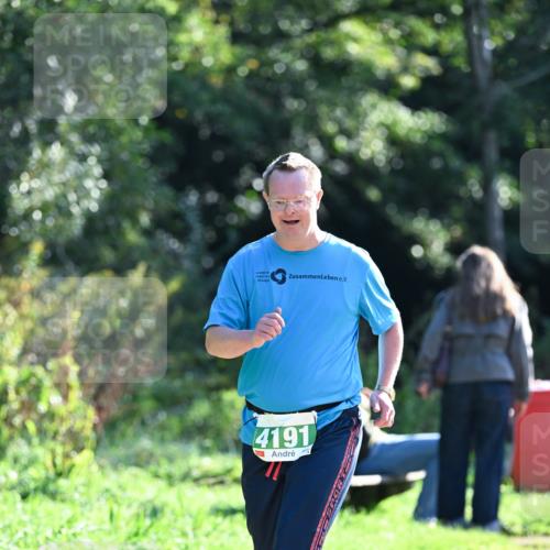 27.09.2026 - 35. Volkslauf durch das schöne Alstertal Dr. Thomas Lammeyer http://msf.ph/oto/10569808 27.09.2026 11:03:41 Laufen 4191 meine-sportfotos.de