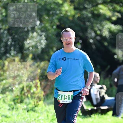 27.09.2026 - 35. Volkslauf durch das schöne Alstertal Dr. Thomas Lammeyer http://msf.ph/oto/10569813 27.09.2026 11:03:41 Laufen 4191 meine-sportfotos.de