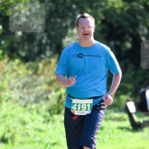 27.09.2026 - 35. Volkslauf durch das schöne Alstertal Dr. Thomas Lammeyer http://msf.ph/oto/10569819 27.09.2026 11:03:42 Laufen 4191 meine-sportfotos.de