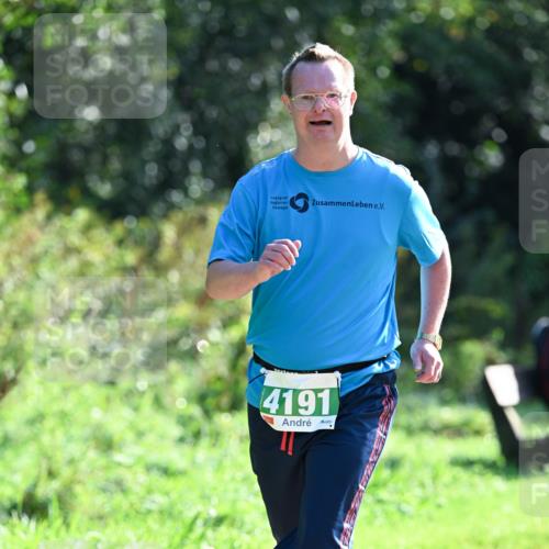 27.09.2026 - 35. Volkslauf durch das schöne Alstertal Dr. Thomas Lammeyer http://msf.ph/oto/10569820 27.09.2026 11:03:42 Laufen 4191 meine-sportfotos.de