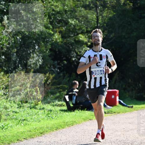 27.09.2026 - 35. Volkslauf durch das schöne Alstertal Dr. Thomas Lammeyer http://msf.ph/oto/10569877 27.09.2026 11:05:42 Laufen 3984 meine-sportfotos.de