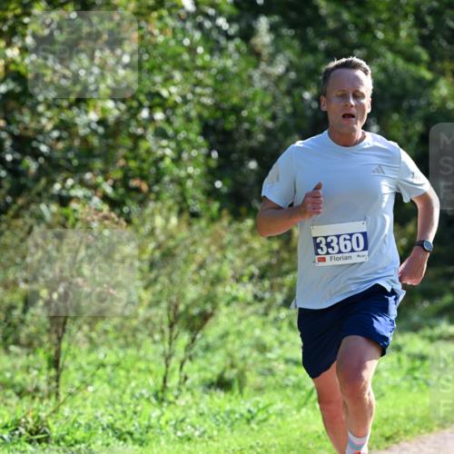 27.09.2026 - 35. Volkslauf durch das schöne Alstertal Dr. Thomas Lammeyer http://msf.ph/oto/10569913 27.09.2026 11:06:01 Laufen 3360 meine-sportfotos.de