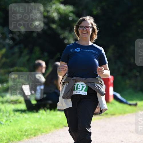 27.09.2026 - 35. Volkslauf durch das schöne Alstertal Dr. Thomas Lammeyer http://msf.ph/oto/10569934 27.09.2026 11:06:59 Laufen 197 meine-sportfotos.de