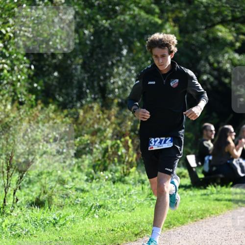 27.09.2026 - 35. Volkslauf durch das schöne Alstertal Dr. Thomas Lammeyer http://msf.ph/oto/10569959 27.09.2026 11:07:20 Laufen 3272 meine-sportfotos.de
