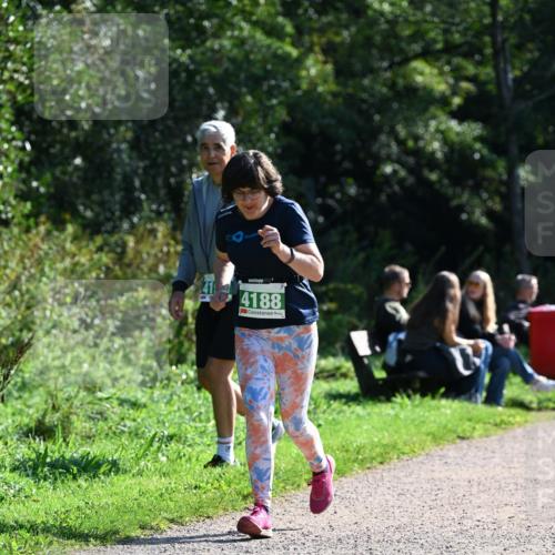 27.09.2026 - 35. Volkslauf durch das schöne Alstertal Dr. Thomas Lammeyer http://msf.ph/oto/10569969 27.09.2026 11:07:27 Laufen 4188 meine-sportfotos.de