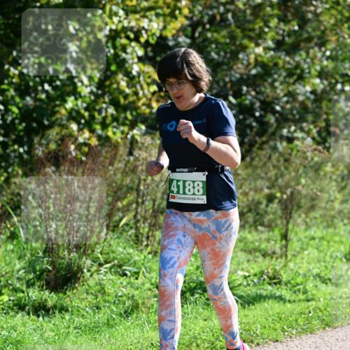 27.09.2026 - 35. Volkslauf durch das schöne Alstertal Dr. Thomas Lammeyer http://msf.ph/oto/10569982 27.09.2026 11:07:28 Laufen 4188 meine-sportfotos.de