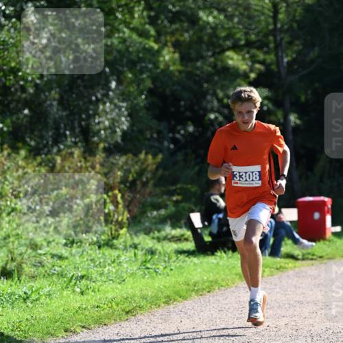 27.09.2026 - 35. Volkslauf durch das schöne Alstertal Dr. Thomas Lammeyer http://msf.ph/oto/10569987 27.09.2026 11:07:51 Laufen 3308 meine-sportfotos.de