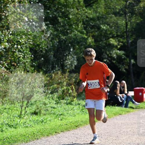 27.09.2026 - 35. Volkslauf durch das schöne Alstertal Dr. Thomas Lammeyer http://msf.ph/oto/10569991 27.09.2026 11:07:52 Laufen 3308 meine-sportfotos.de