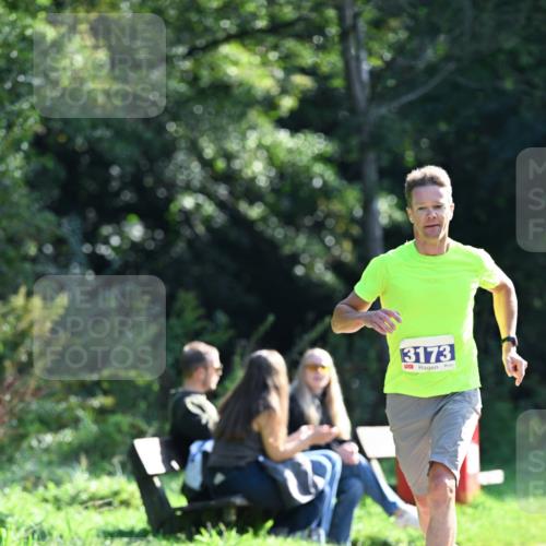 27.09.2026 - 35. Volkslauf durch das schöne Alstertal Dr. Thomas Lammeyer http://msf.ph/oto/10570000 27.09.2026 11:08:40 Laufen 3173 meine-sportfotos.de