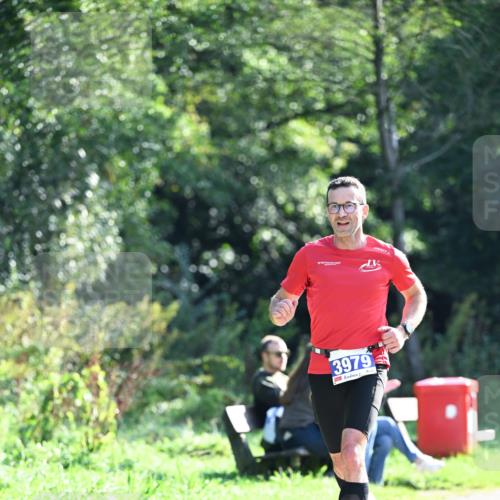 27.09.2026 - 35. Volkslauf durch das schöne Alstertal Dr. Thomas Lammeyer http://msf.ph/oto/10570011 27.09.2026 11:08:46 Laufen 3979 meine-sportfotos.de