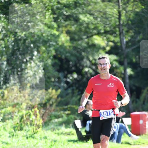 27.09.2026 - 35. Volkslauf durch das schöne Alstertal Dr. Thomas Lammeyer http://msf.ph/oto/10570012 27.09.2026 11:08:46 Laufen 3979 meine-sportfotos.de