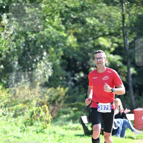 27.09.2026 - 35. Volkslauf durch das schöne Alstertal Dr. Thomas Lammeyer http://msf.ph/oto/10570013 27.09.2026 11:08:47 Laufen 3979 meine-sportfotos.de