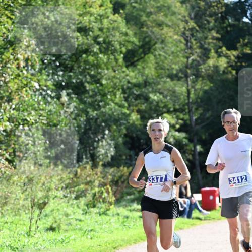 27.09.2026 - 35. Volkslauf durch das schöne Alstertal Dr. Thomas Lammeyer http://msf.ph/oto/10570056 27.09.2026 11:09:09 Laufen 3377, 3412 meine-sportfotos.de