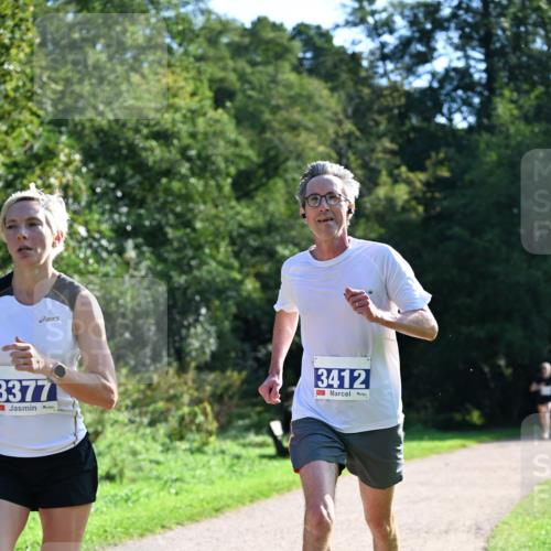 27.09.2026 - 35. Volkslauf durch das schöne Alstertal Dr. Thomas Lammeyer http://msf.ph/oto/10570063 27.09.2026 11:09:11 Laufen 3377, 3412 meine-sportfotos.de