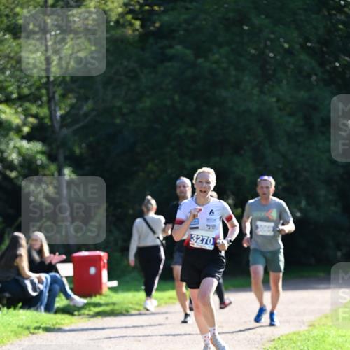 27.09.2026 - 35. Volkslauf durch das schöne Alstertal Dr. Thomas Lammeyer http://msf.ph/oto/10570104 27.09.2026 11:09:27 Laufen 3270 meine-sportfotos.de