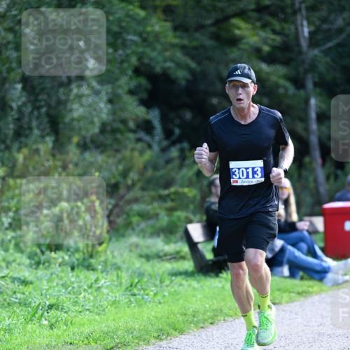 27.09.2026 - 35. Volkslauf durch das schöne Alstertal Dr. Thomas Lammeyer http://msf.ph/oto/10570173 27.09.2026 11:10:14 Laufen 3013 meine-sportfotos.de