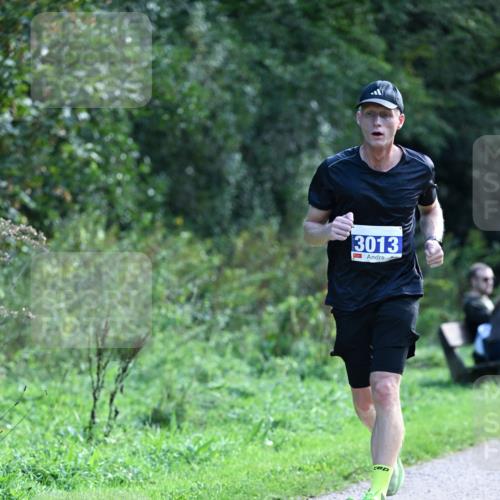27.09.2026 - 35. Volkslauf durch das schöne Alstertal Dr. Thomas Lammeyer http://msf.ph/oto/10570179 27.09.2026 11:10:15 Laufen 3013 meine-sportfotos.de
