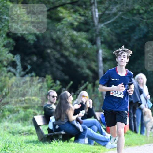 27.09.2026 - 35. Volkslauf durch das schöne Alstertal Dr. Thomas Lammeyer http://msf.ph/oto/10570236 27.09.2026 11:11:10 Laufen 9585 meine-sportfotos.de